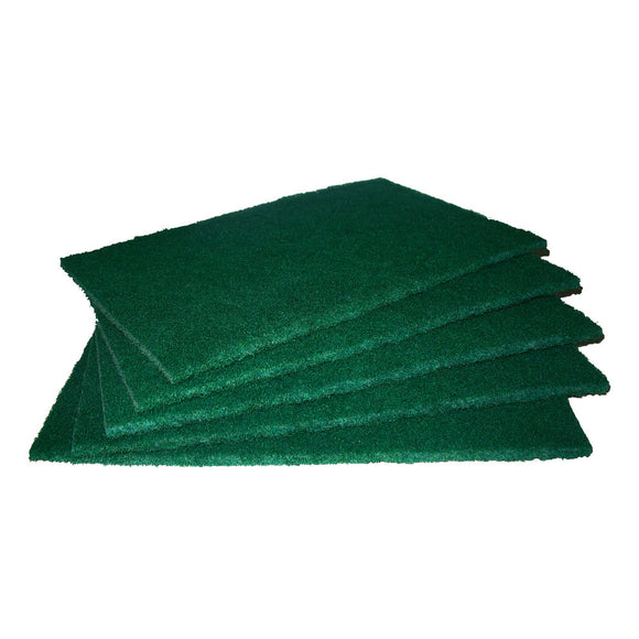 Scouring Pad (5pcs)