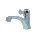 ABS Single Lavatory Faucet