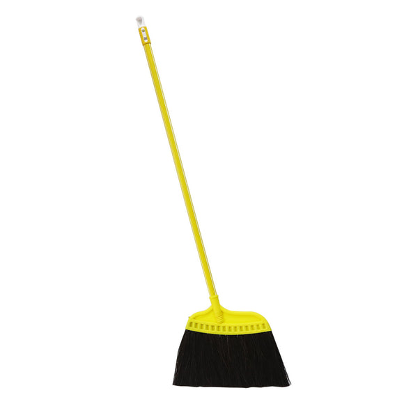 Coco Palm Broom