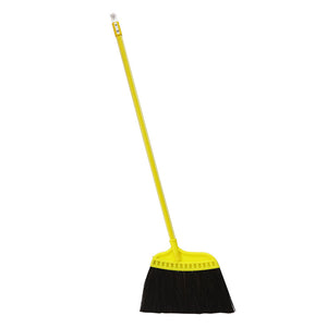 Palm Broom
