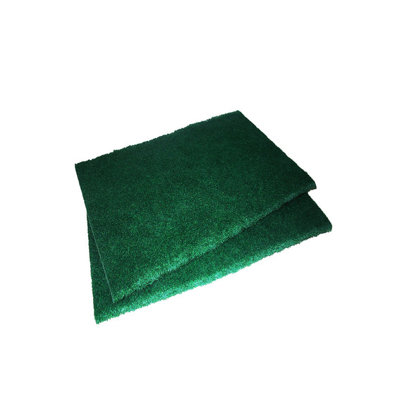 Shiba Green