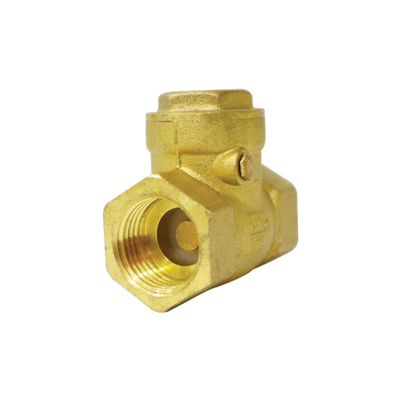 Swing Check Valve